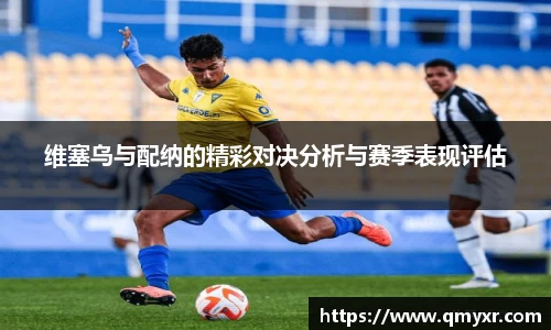 维塞乌与配纳的精彩对决分析与赛季表现评估